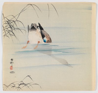 Diving Mallard by Ohara Koson